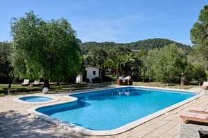A blue swimming pool with an attached circular spa area, surrounded by a light-colored stone terrace and mature trees against a mountain backdrop.