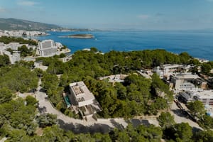 Aerial view of the villa within pine woodland near the coast