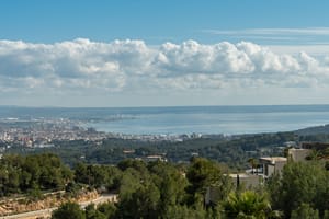 Wide-angle view of the Palma bay and cityscape under a bright sky with scattered clouds, framed by Mediterranean greenery.