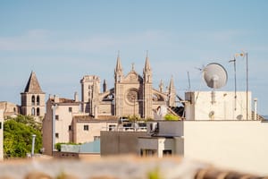 An eye-level view of the Palma Cathedral rising above the surrounding low-rise urban neighborhood rooftops under a clear blue sky.