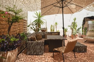 Outdoor terrace in Santa Catalina featuring woven lounge furniture, a large umbrella, and various potted cacti and plants.