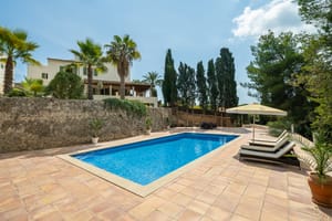 Rectangular blue swimming pool on a paved stone terrace with sun loungers, bordered by cypress and pine trees.
