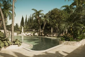 Outdoor swimming pool surrounded by palm trees and lush vegetation with stone paved terrace area under natural daylight.