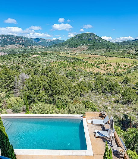 Blue rectangular swimming pool with mountain panorama and native woodland in background
