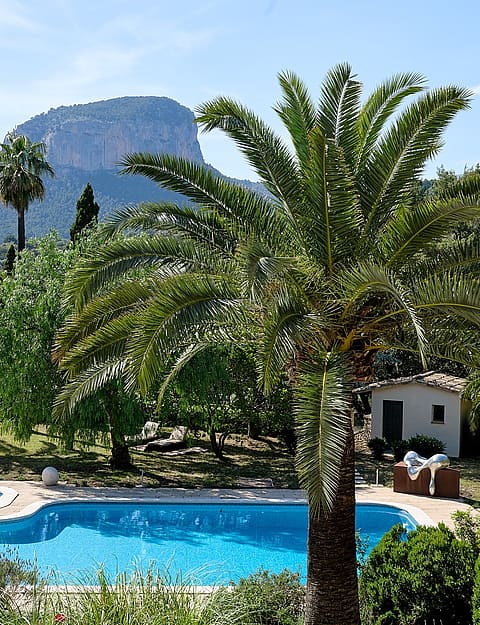 A rectangular outdoor swimming pool surrounded by greenery and a palm tree, with Alaro's mountain landscape in the background.