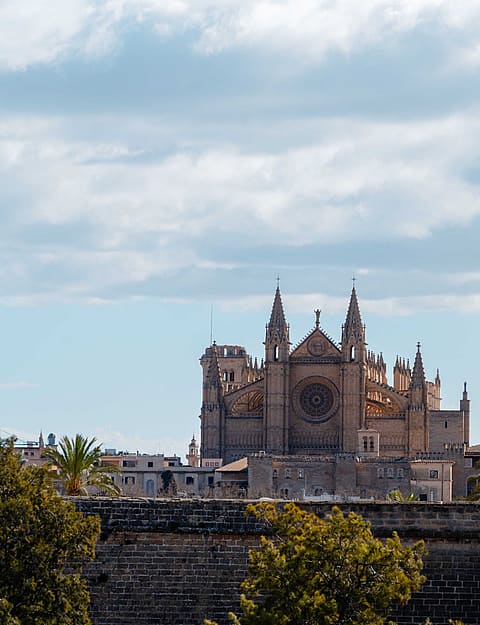 Daytime view of the historic Palma Cathedral rising above a stone perimeter wall, with green foliage in the foreground.