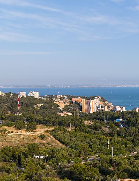 Panoramic view of the coastline and Mediterranean Sea seen from an elevated position above dense pine forest.