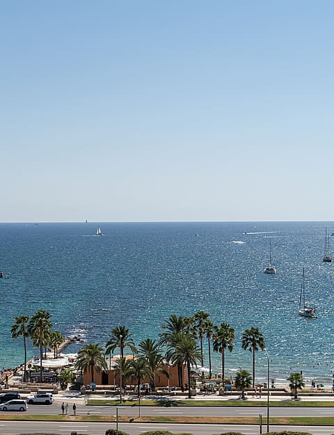 Wide angle view of the sparkling sea and coastline from an elevated balcony, featuring a sandy beach and palm trees.