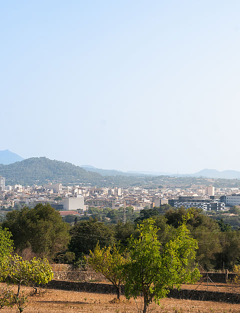 Vista panorámica del paisaje rural con árboles frutales en primer plano, hacia el pueblo de Manacor y las colinas.