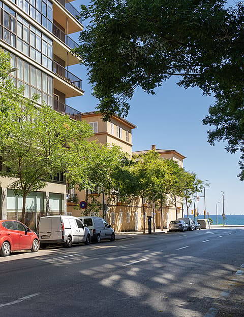 Exterior street-level view of a multi-story building facade with large trees and parked cars, situated in an urban area.