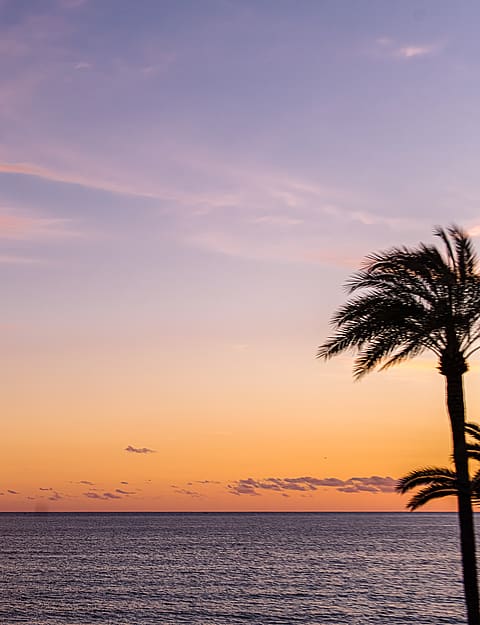PALMA BEACH APARTMENT