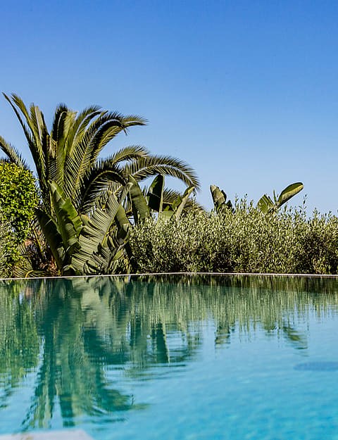 En infinity-pool med lugnt turkost vatten som reflekterar palmer och Medelhavets kustlinje.