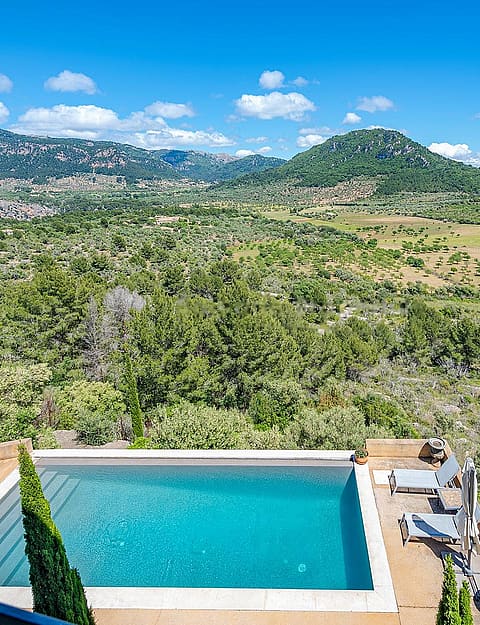 Blue rectangular swimming pool with mountain panorama and native woodland in background