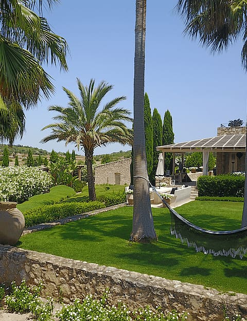A wide view of a private garden featuring a manicured lawn, several tall palm trees, a hammock suspended between trees, and a low stone wall in the foreground.