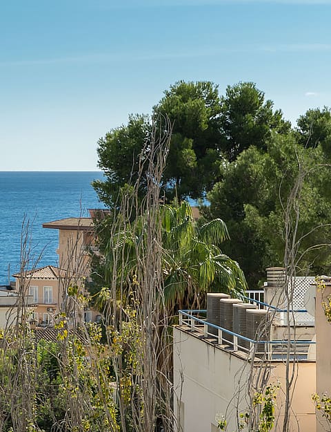 Elevated view overlooking rooftops of white villas towards a blue sea with mature pine trees in the foreground.