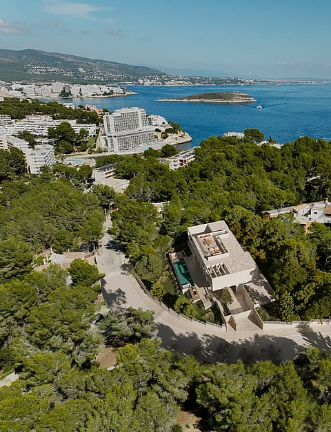 Aerial view of the villa within pine woodland near the coast