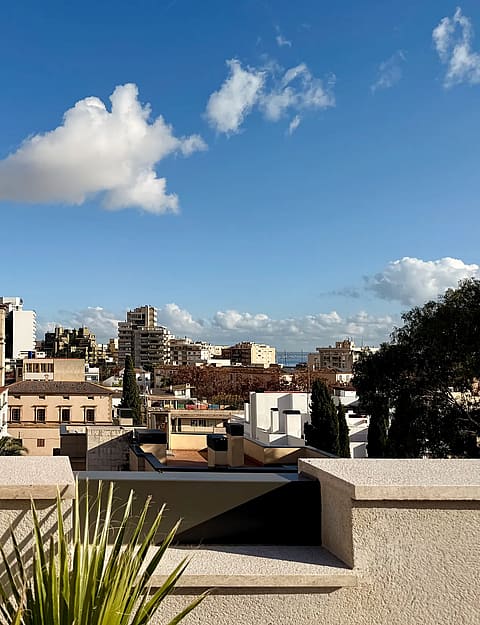 Designer Penthouse in Son Armadams