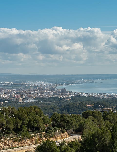 Wide-angle view of the Palma bay and cityscape under a bright sky with scattered clouds, framed by Mediterranean greenery.