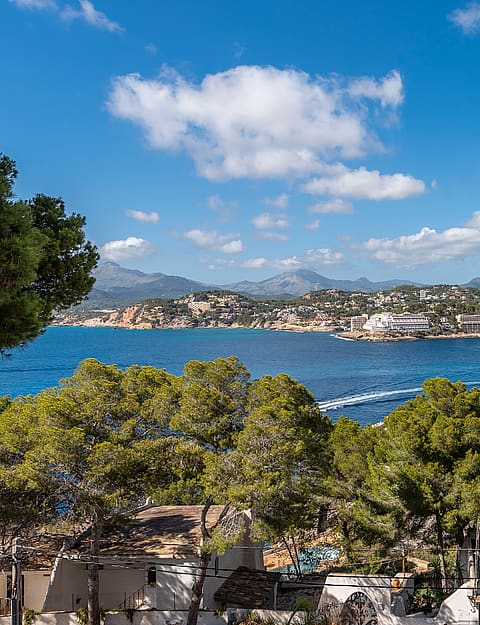 Elevated view overlooking a blue bay, forested coastline, and distant mountains under a clear sky.