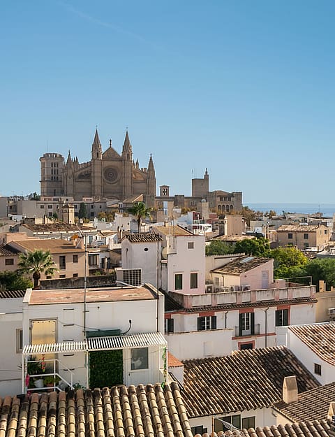 Panoramic rooftop view over Palma Old Town roofs towards the Cathedral and the Mediterranean Sea under a clear blue sky.