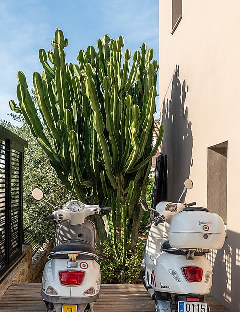 Two white scooters parked on a slatted timber deck beside a large green cactus and a plain beige villa wall.