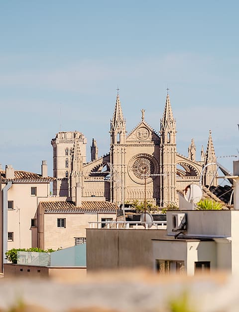 An eye-level view of the Palma Cathedral rising above the surrounding low-rise urban neighborhood rooftops under a clear blue sky.