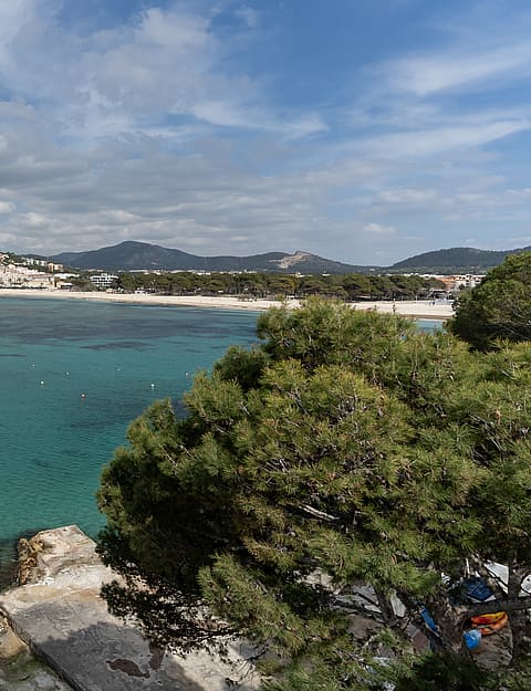 Coastal view from a rocky elevation overlooking a clear turquoise bay, framed by pine trees with a sandy beach beyond.