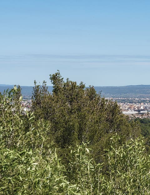 Elevated view from a Son Vida villa overlooking the Palma city skyline with distant blue mountains and lush greenery.
