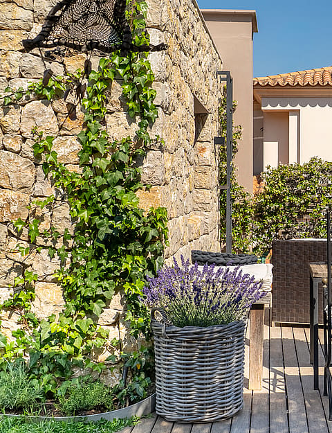 A sunny stone-walled terrace in Genova featuring metal garden furniture, a lavender planter, and climbing ivy plants.