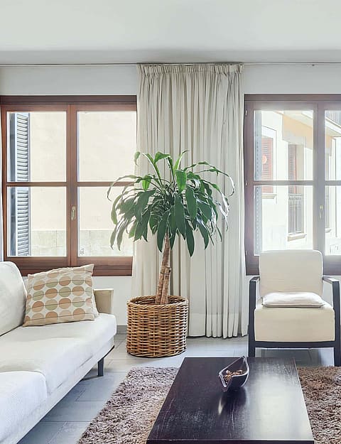 A living room featuring a white sofa, cream armchair, wooden media console, and a tall indoor plant in a woven basket.