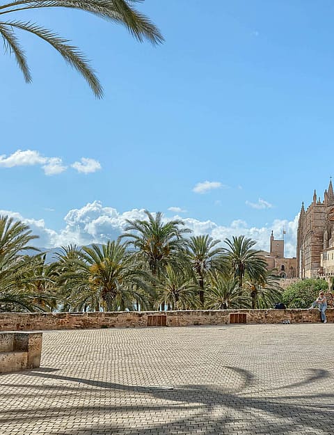 A sunny public square paved with light-colored stones, framed by a palm tree and a historic stone wall, with a large Gothic cathedral in the distance.