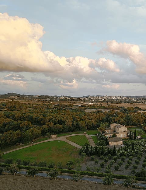 High-angle aerial photograph of a stone finca surrounded by olive groves and open fields in Algaida under a cloudy sky.