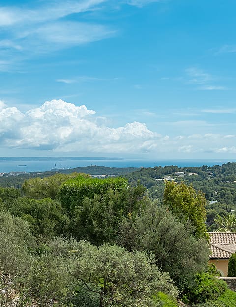 Elevated southwest-facing view from Son Vida villa across pine and olive woodland toward Palma Bay and the Mediterranean, with sailing boats visible on the water