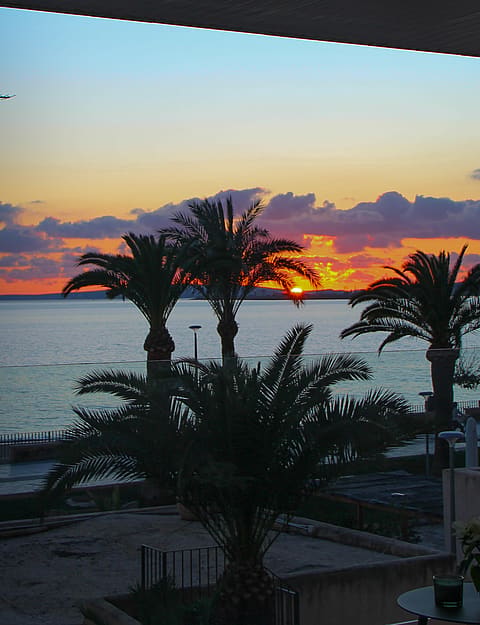 PALMA BEACH APARTMENT