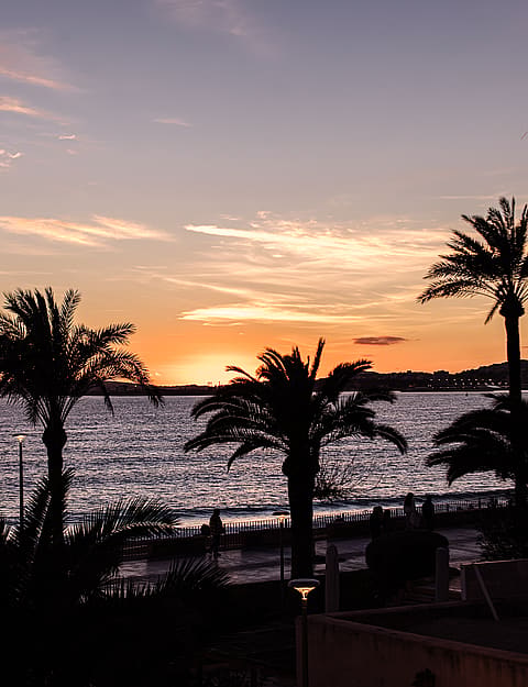 PALMA BEACH APARTMENT