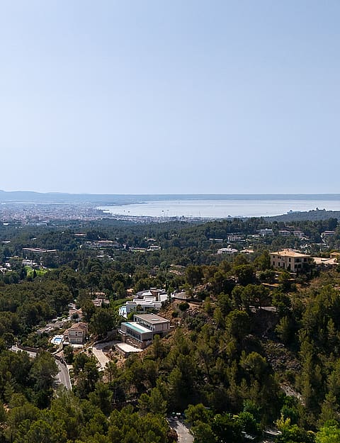 High-angle aerial view of the Son Vida landscape showing expansive wooded hills sloping towards the distant coastline and sea.
