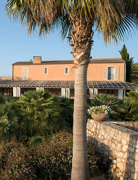 Exterior view of a terracotta-toned traditional finca building surrounded by tall palm trees and a dense Mediterranean garden.