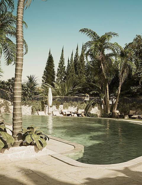 Outdoor swimming pool surrounded by palm trees and lush vegetation with stone paved terrace area under natural daylight.