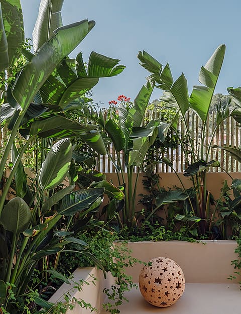 A private garden area with a beige concrete planter box and lush tropical foliage, featuring a decorative spherical lamp.