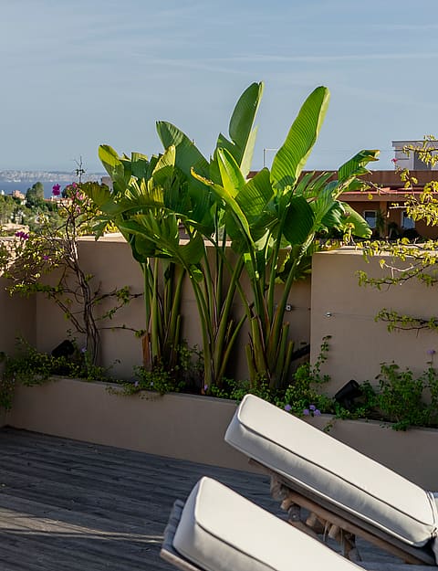 A rooftop terrace featuring wooden decking, two lounge chairs, and a planter with banana plants, overlooking the Genova skyline.