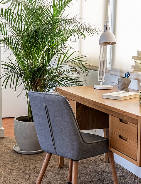 A wooden desk with a grey upholstered chair and a tall potted plant in a bright, light-filled corner of the penthouse.