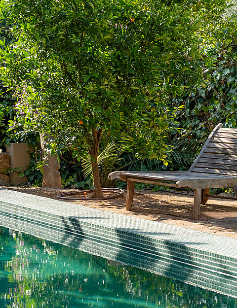 A tiled swimming pool edge next to a wooden lounge chair under citrus trees in a Mediterranean garden setting.