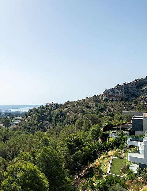 Panoramic elevated view looking over dense green pine forest towards the distant Mediterranean sea in Son Vida, Mallorca.