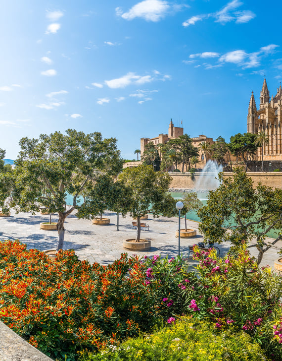 OLD TOWN PALMA