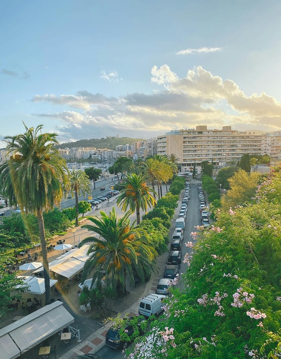 SEASFRONT PALMA