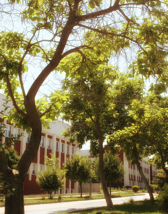 SCHOOLS