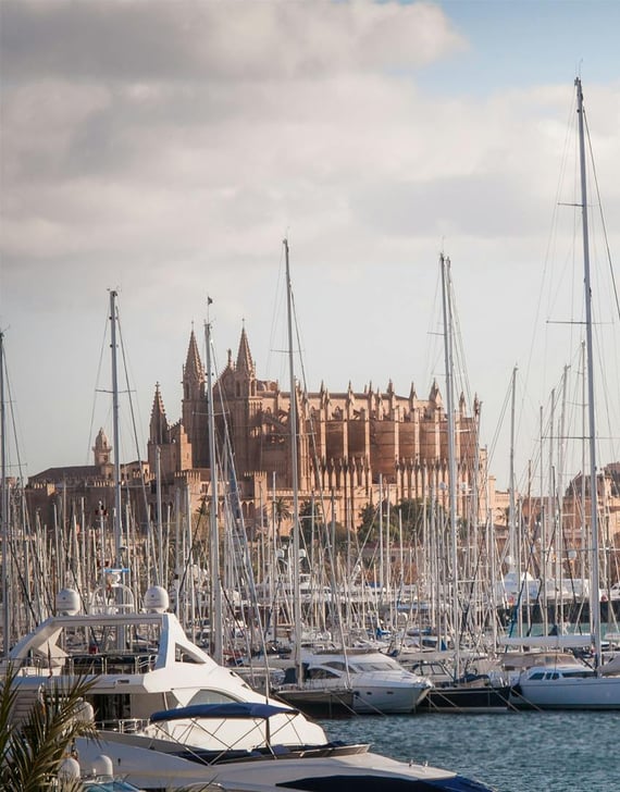 SEAFRONT PALMA