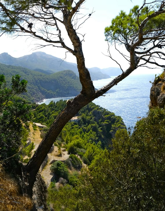 HIKING VALLDEMOSSA