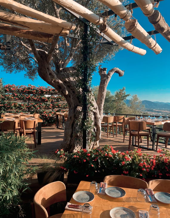 TRADITIONAL RESTAURANTS