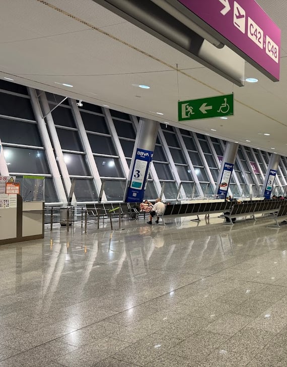 Palma Airport (PMI)